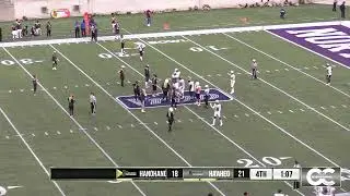 Hawaii Tiki Bowl - Team 3 vs Team 4