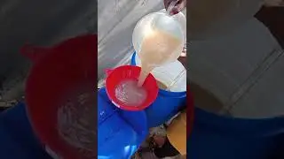 Phenyl compound production