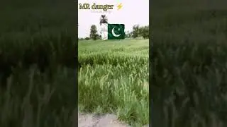 Morning Walk in Pakistan 🇵🇰 | Can You Name This Crop? 🌾 #Shorts