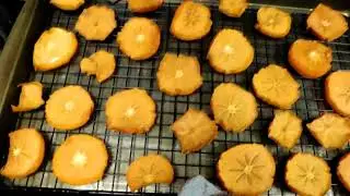 drying persimmon