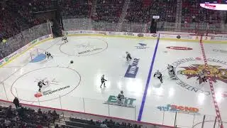 Saint John Sea Dogs warmup at Avenir Centre opening game