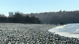 Spinnies. Aberogwen North Wales Wildlife Trust Nature Reserve, Tal y Bont, Bangor, Wales, UK.