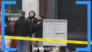 All signs point to Stockton shooting having 'targeted' meaning: Tracy Walder | NewsNation Prime