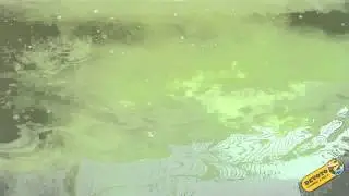 Se&ntilde;uelo Minotauro Gold Zagaia - Devoto Camping & Pesca.