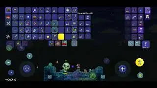 @MakeTerraria