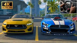 Ford Mustang GT vs Shelby GT500 | Logitech G29 Gameplay | The Crew Motorfest
