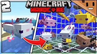 I Made a GIANT Axolotl Farm in Minecraft Hardcore (#2)