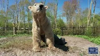 Beleef unieke momenten die je niet snel zult vergeten in AquaZoo!