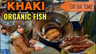 ORGANIC FISH || KHAKI BERKUND || HEALTHY DELICIOUS AND COST FRIENDLY || KHAKI PULL BEST WATER SPOT ✅