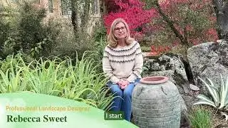 How to Pick the Right Planter for a Beautiful & Relaxing Outdoor Space