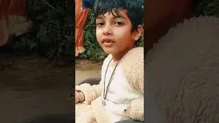 Happy New year cow video 