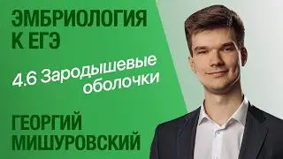 4.6. Зародышевые оболочки | Цитология к ЕГЭ | Георгий Мишуровский