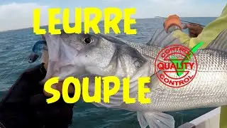 🐟 PECHE du BAR au LEURRE SOUPLE en bateau 🐟