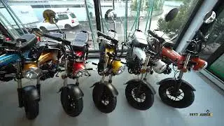 skymax 125cc SE