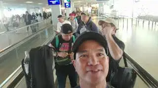 Miami to Amsterdam Flight KLM