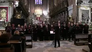 Chór Basilica Cantans - 