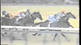 ダイイチルビー ／ 第25回 スプリンターズステークス (1991.12.15)