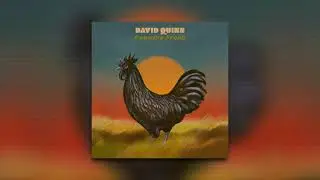 David Quinn - Down Home