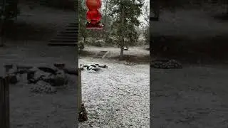 Snowing in Shady Cove .