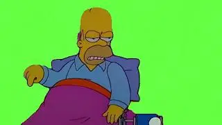 The Simpsons Homer In This House We Obey The Laws Of Thermodynamics Green Screen