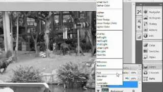 False Infrared Effect on Photos - Photoshop tips