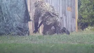 Una KILL Molto Speciale - HPA RULEZ 2 - 2.7K 60FPS