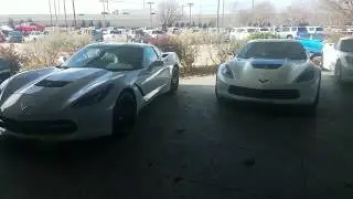 Ceramic Matrix Gray Corvette Stingray vs Artic White Corvette Z06