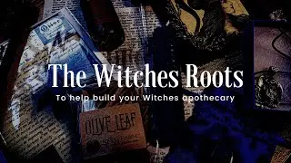 THE WITCHES ROOTS & PRO WITCH TIPS