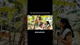 😂😂 #malayalam #ai #shorts #funny #video