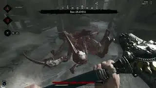 Hunt Showdown replay 2025 12 30 01 50