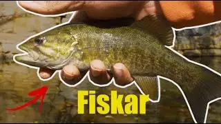 Maryland SPILLWAY Fishing | Smallmouth using LIVE HELLGRAMITES!
