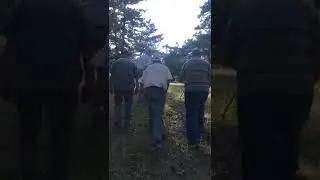 Kırkharman K&ouml;yum&uuml;z&uuml;n ormanlarında doğa y&uuml;r&uuml;y&uuml;ş&uuml;