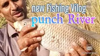 Fishing Tower to Punch River kotli deam//Amazing Fishing Vilog Safeershikari Common Carp 1kg+cetch