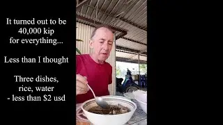Pakse, Laos. If you don't eat this street-food, you have no brains 🧠 .. Crazy cheap, insanely good!
