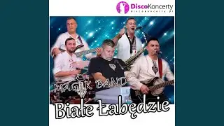 Białe łabędzie (Radio Edit)