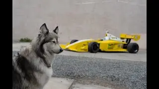 James Hinchcliffe 2009 Indy Lights car.