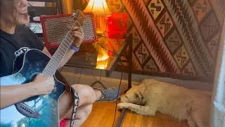 Playing “One Note Samba” for one relaxed doggy