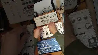 Josh Wink - Higher State of Consciousness TR-09 TD-3 by Scott Bradley