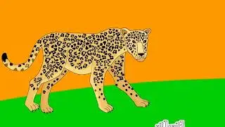 Learn the ABCs J is for Jaguar