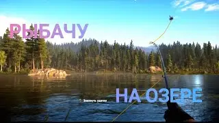 Рыбачу в FAR CRY 5