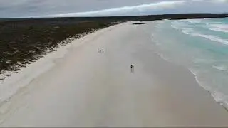 Travelkolik Galapagos Santa Cruz Island Tortuga Bay by drone 2