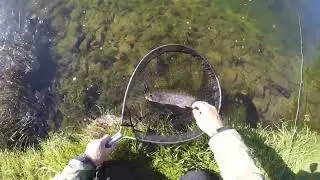 Video #34 - Stalking Trout at Lochter Fishery #troutfishing #flyfishingjunkie #fyp #viral