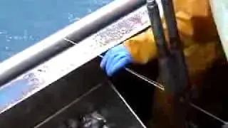 Pesca con palangre: virado y anzuelos