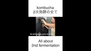 ジンジャーシロップで kombuchaの２次発酵の全てを！