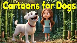 Cartoons for Dogs to Watch 🐶 | Calm Bamboo Forest Morning with a Small Wooden Bridge | Dog Music