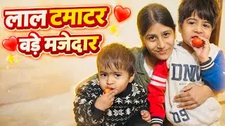 A Day Full of Smiles & Red Tomatoes! ❤️ Family Love & Cute Moments || Daksh0008 