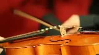 Highlights from live concerts | St. Nicholas Church, Old-Town Square in Prague
