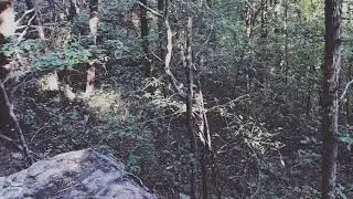 Titanic Song 2.0 (re-upload)