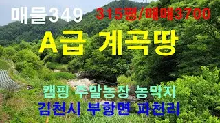 캠핑하기 좋고 자연계곡 품은 시골땅