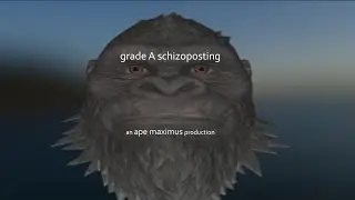 grade A schizoposting